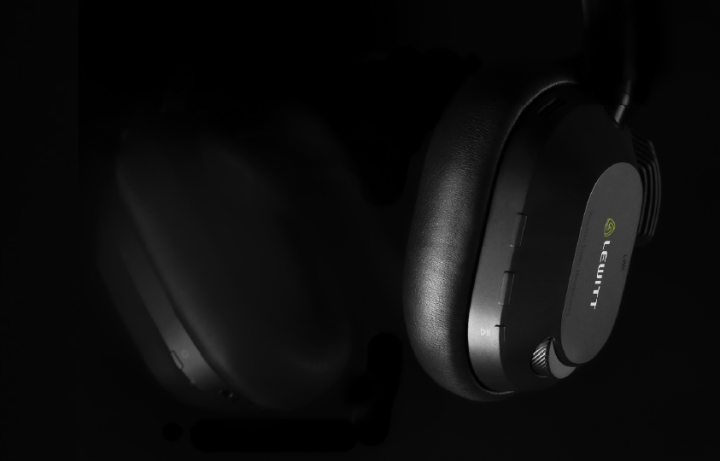 Lewitt LW6