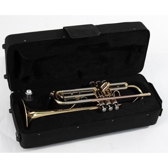 Bb trumpet in gold lacquered finish