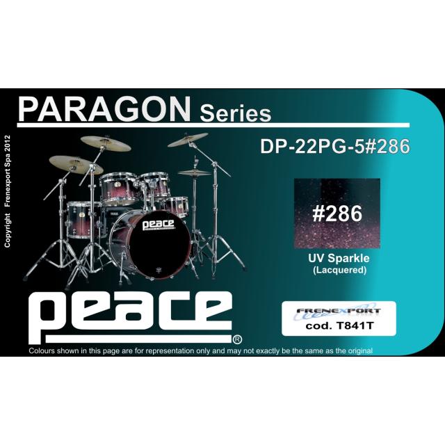 Drum Set 5 pcs in Acero Canadese con finiture laccate speciali