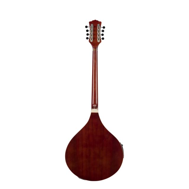 Irish Bouzouki