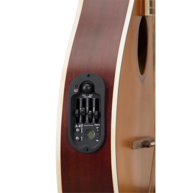 Irish Bouzouki