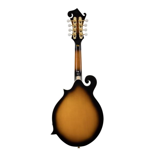 Bluegrass mandolin plywood spruce top