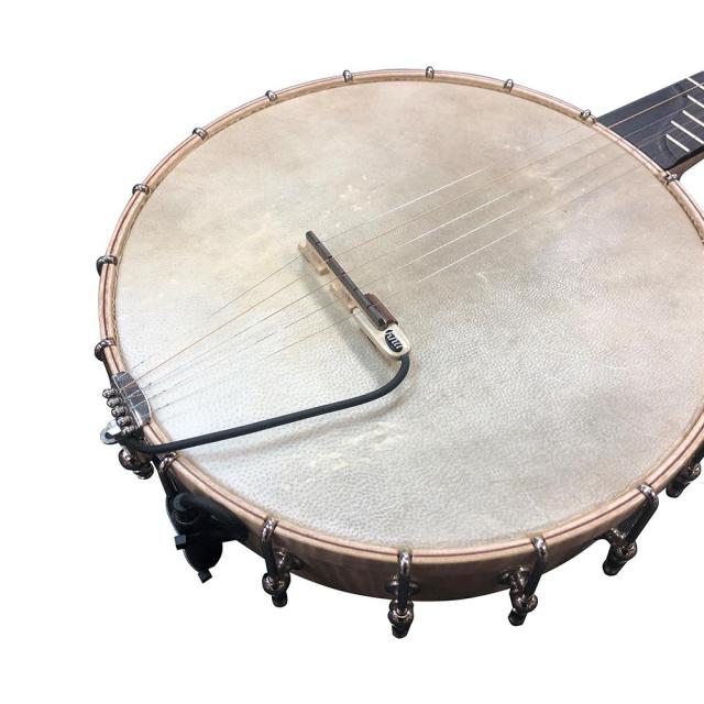 BP-1 pickup portatile per banjo