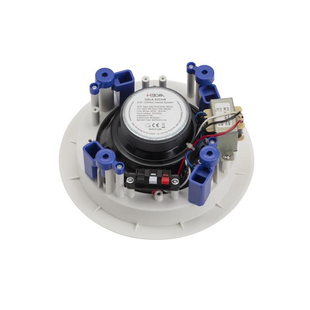5.25" 2-Way Coaxial Ceiling Speaker
