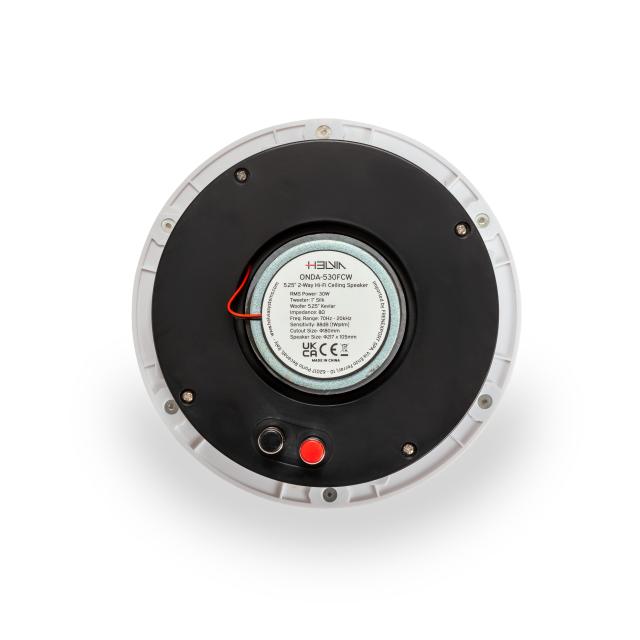 Altoparlante da soffitto 30W 8 ohm a 2 vie Hi-Fi con griglia senza cornice
