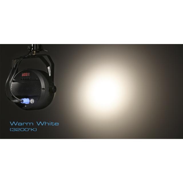 4x50W Warm + Pure White LED PAR with 25° beam for indoor use