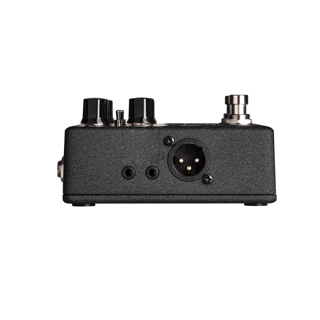 Amp Modeler stomp box