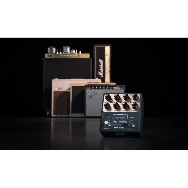 Amp Modeler stomp box