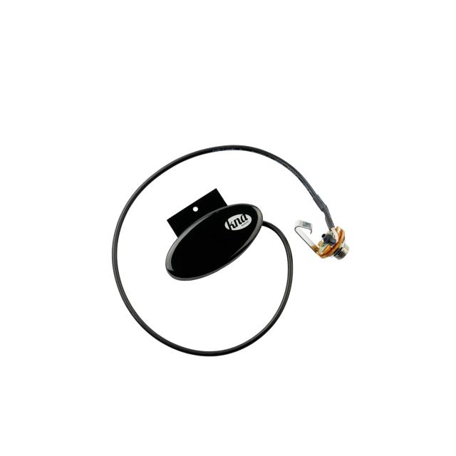 BZ-1   Single-coil, soundhole-mounted design with passive electronics for bouzouki