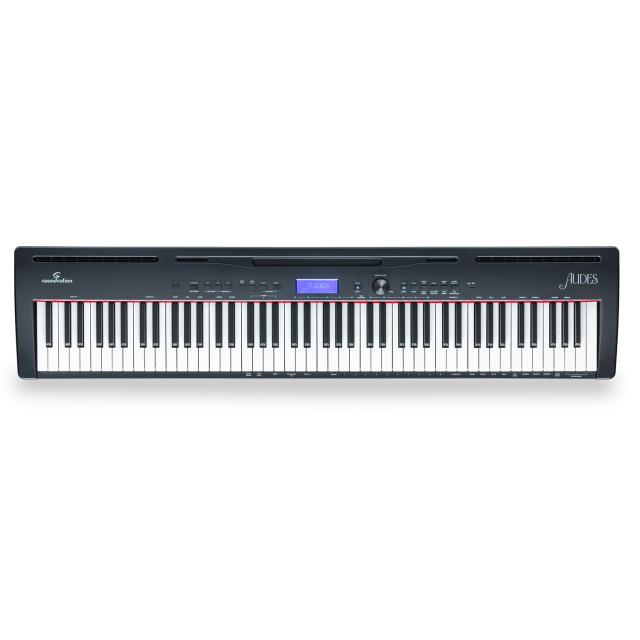 Digital piano with 88 Hammer Action keys