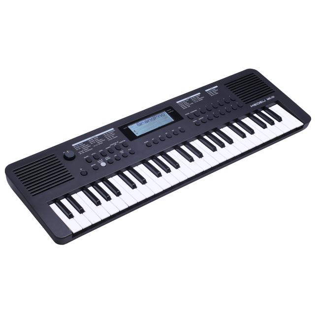 49-key mini-size portable arranger keyboard + bag