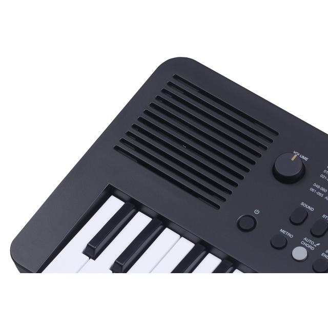 49-key mini-size portable arranger keyboard + bag