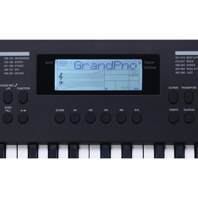 49-key mini-size portable arranger keyboard + bag