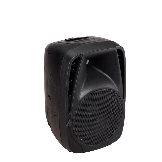 2x100W Portable PA System with active mixer and two passive 2-Way Speakers