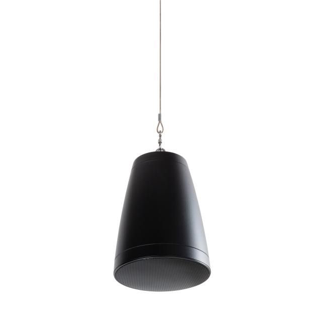 Diffusore per soffitti aperti a lampadario a 2 vie, 5,25", 40W (Nero)