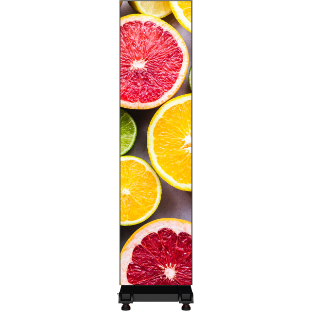 Set 2x EventEasy Indoor LED Poster, P1.56, 500x2000 mm, Easy to Transport and Fast to Install