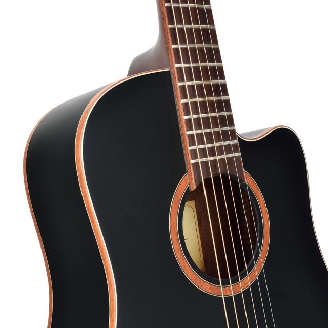 SHADOW series cutaway acoustic guitar with soundhole Fishman preamp (compact size)