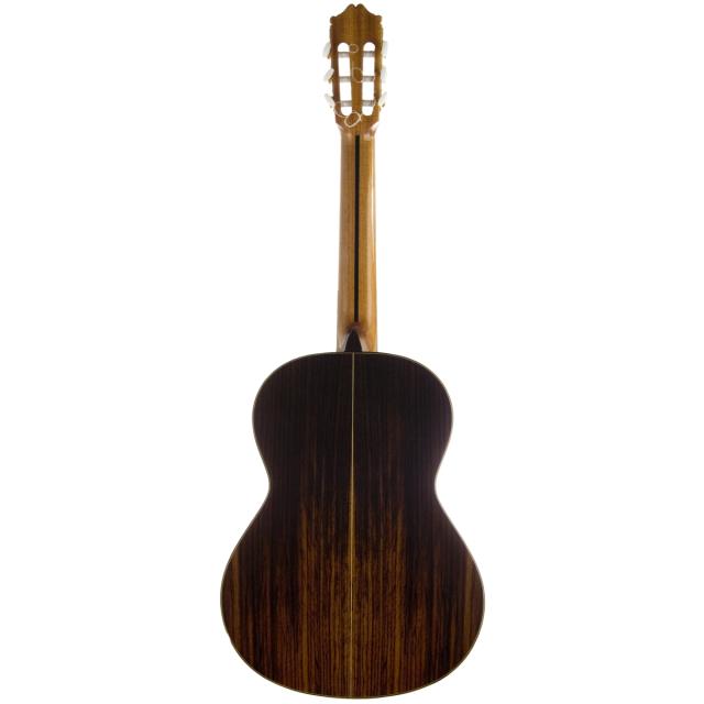 Classical guitar