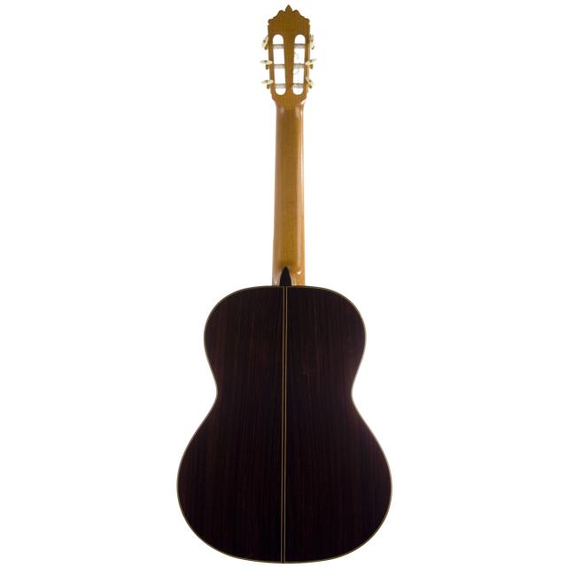 Concert classical guitar
