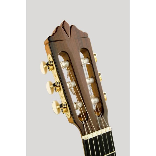 Concert classical guitar