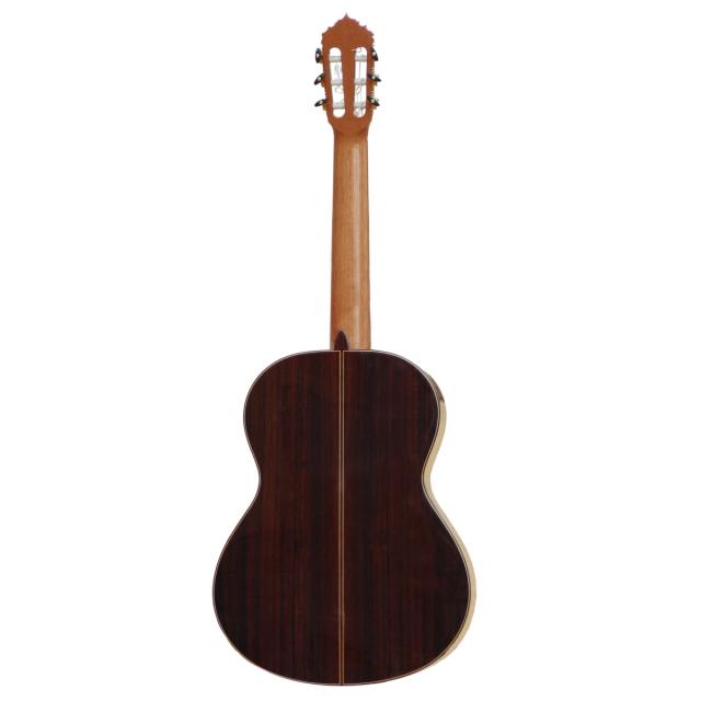 Concert classical guitar - Linea Professional