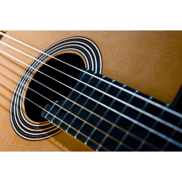 Concert classical guitar - Linea Professional