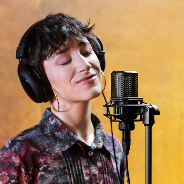 Set di 2 Microfoni "True Condenser" a Diaframma Largo con pattern polare Cardioide