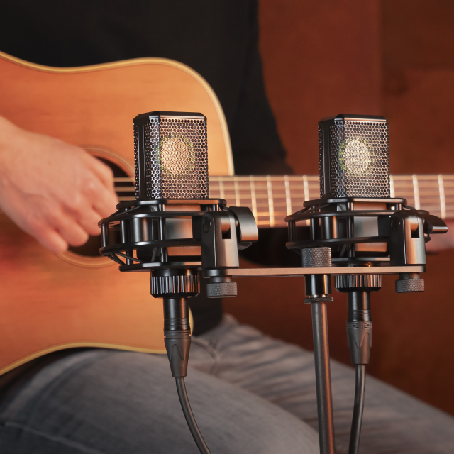 Set di 2 Microfoni "True Condenser" a Diaframma Largo con pattern polare Cardioide