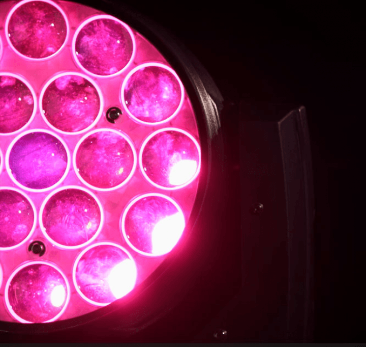 Centolight Thesis 1915Z