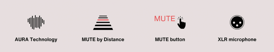 Lewitt RAY AURA Technology