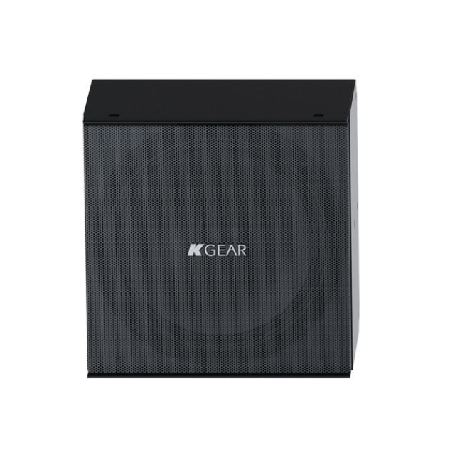 Ultra-compact 8" full-range passive speaker (black)