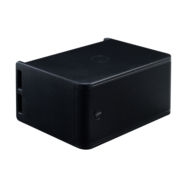 Subwoofer attivo con doppio trasduttore da 10”, DSP integrato e modulo di amplificazione (colore Nero)