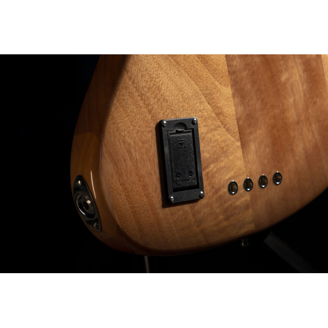 Electric bass with roasted maple freboard and neck (5 strings)