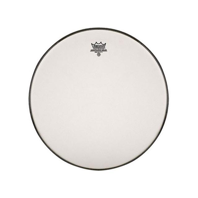 Reinassance 10" Under Resonant Snare