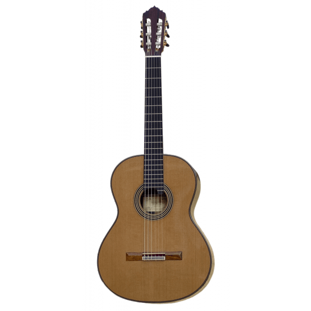 Concert classical guitar - Linea Professional