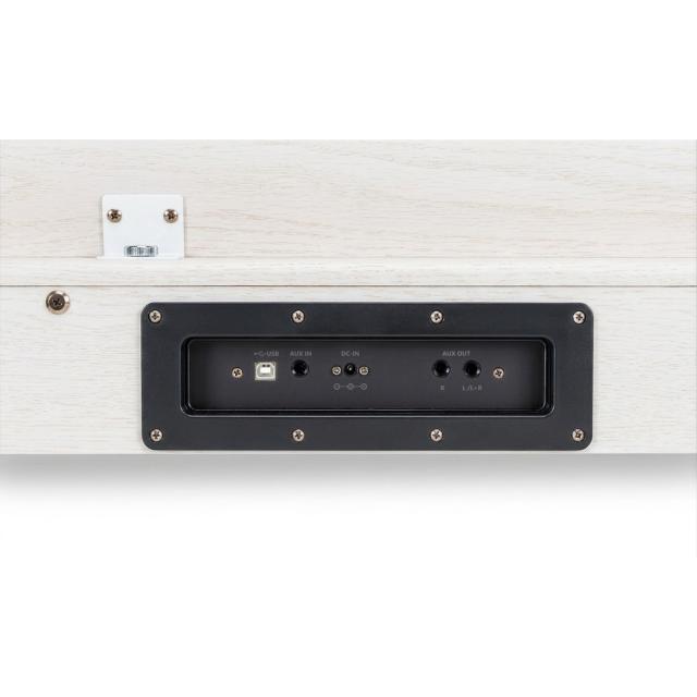 Home Digital Piano with hammer action keys