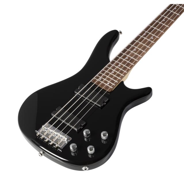 Electric bass with bridge and neck pick ups (5 strings version)