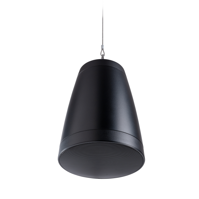 Diffusore per soffitti aperti a lampadario a 2 vie, 6,5", 60W (Nero)
