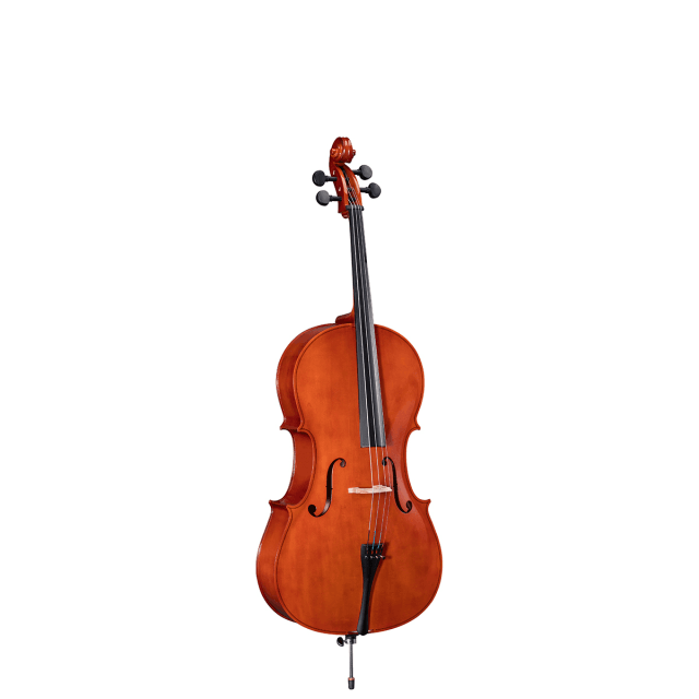 1/8 Virtuoso Primo cello with bags and bow