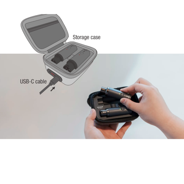 Bundle sistema microfonico wireless 2.4GHz