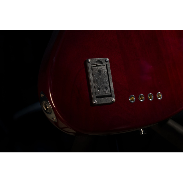 Basso elettrico con top fiammato, manico e tastiera in acero roasted (5 corde)