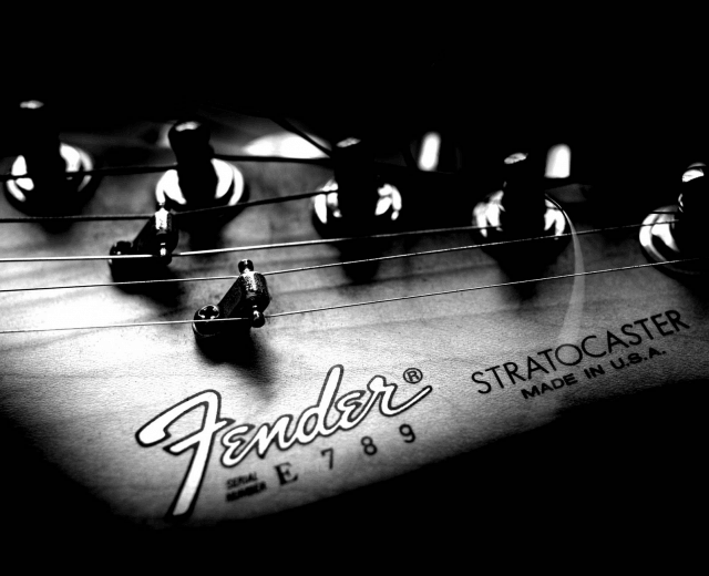 Fender