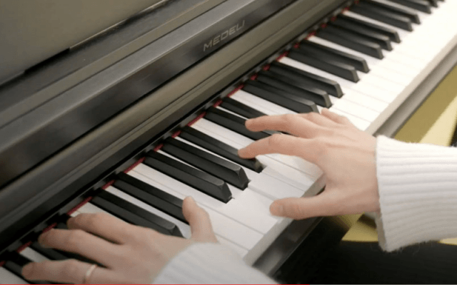 MEDELI UP203 – Upright digital piano for any level