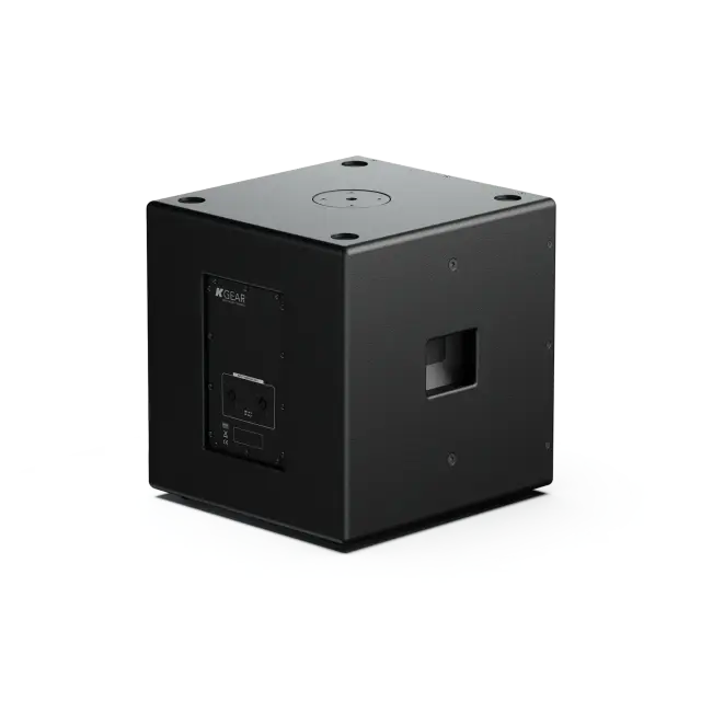 Subwoofer Passivo Compatto da 18" ad Alte Prestazioni