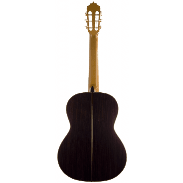 Concert classical guitar