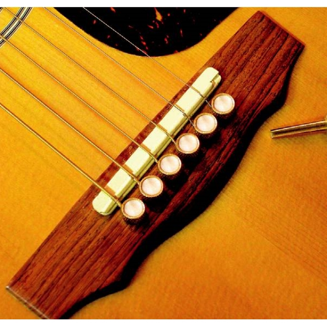 Mother of Pearl Inlay Flat Head Tone Pins (Pack of 6 pcs)