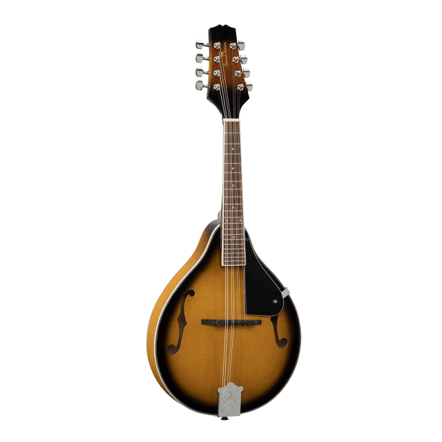 Bluegrass mandolin feautirng plywood spruce top