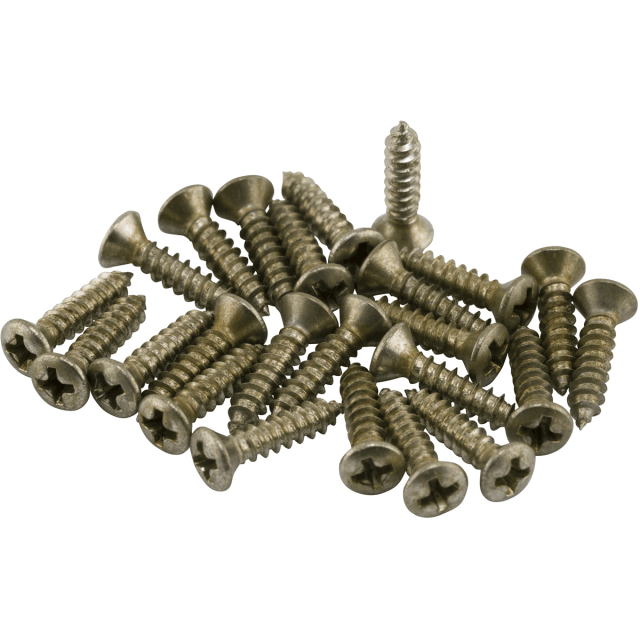 Road Worn® Pickguard/Control Plate Screws (24)