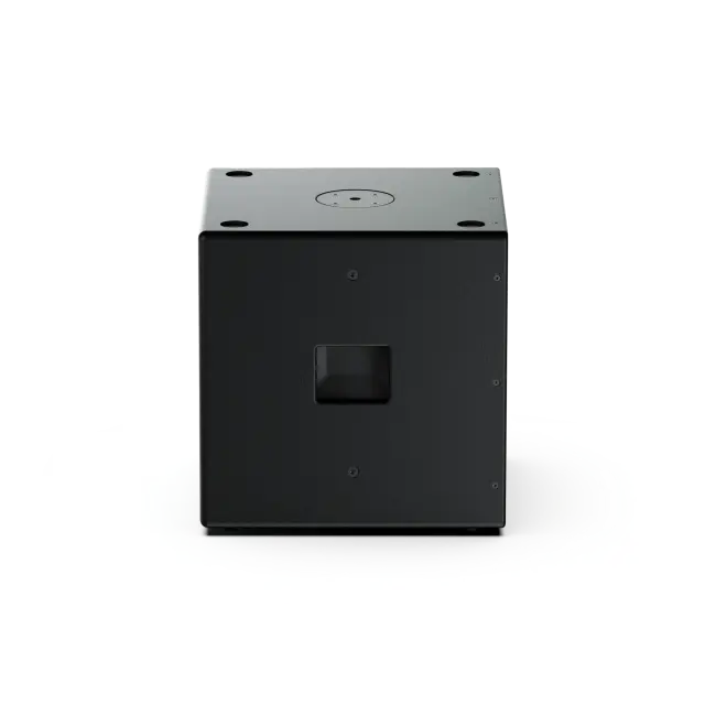 Subwoofer Passivo Compatto da 18" ad Alte Prestazioni