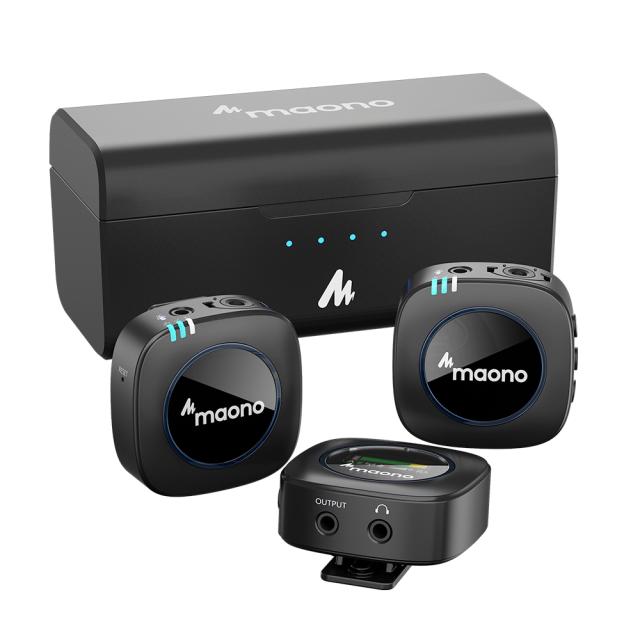 Sistema a doppio microfono wireless AU-WM821